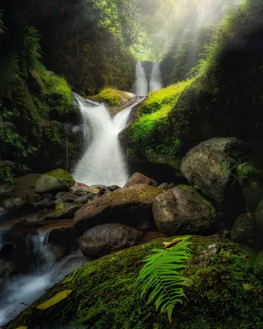 Detail Wasserfall Im Dschungel Tropische Natur Number 18