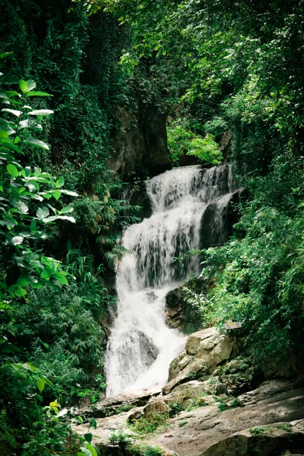 Detail Wasserfall Im Dschungel Tropische Natur Number 20
