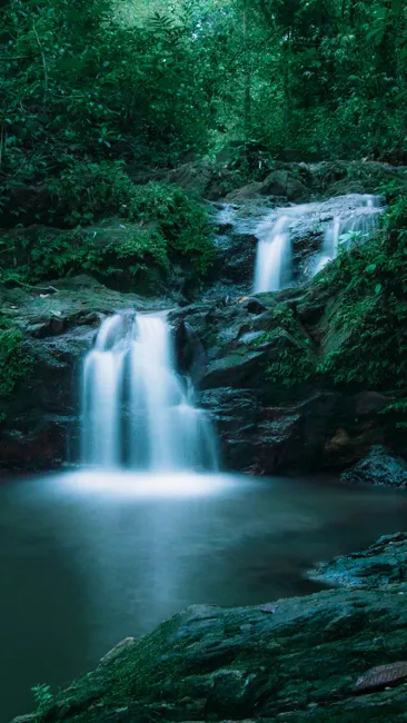 Detail Wasserfall Im Dschungel Tropische Natur Number 3