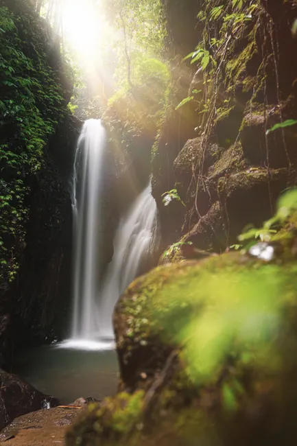 Detail Wasserfall Im Dschungel Tropische Natur Number 5