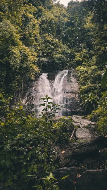 Detail Wasserfall Im Dschungel Tropische Natur Number 8
