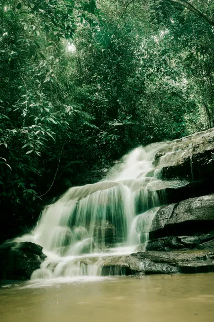 Detail Wasserfall Im Dschungel Tropische Natur Number 10