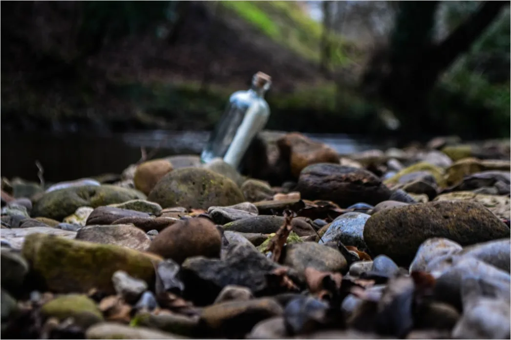 Detail Wasserflasche Nach Wanderung Auf Stein Mit Blick Number 10