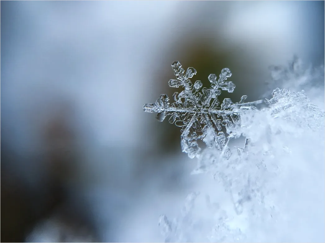 Winterurlaub Schneeflocken Auf Jacke Nahaufnahme 64fa