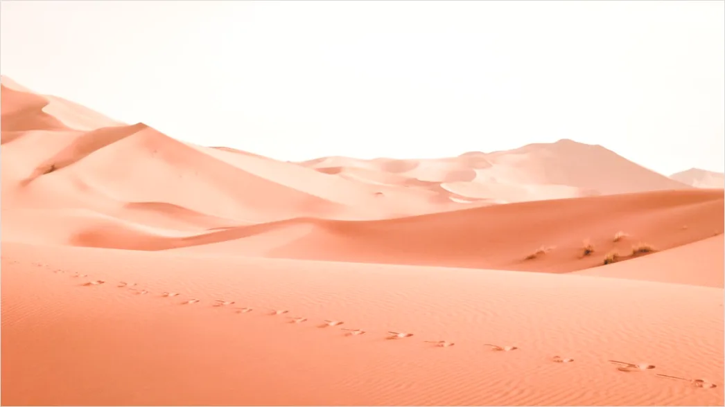 Detail Wüste Sanddünen Spuren Im Sand Minimalistisch Number 2