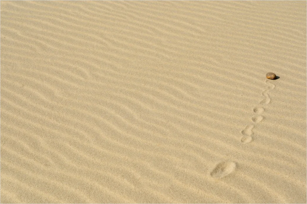 Detail Wüste Sanddünen Spuren Im Sand Minimalistisch Number 12
