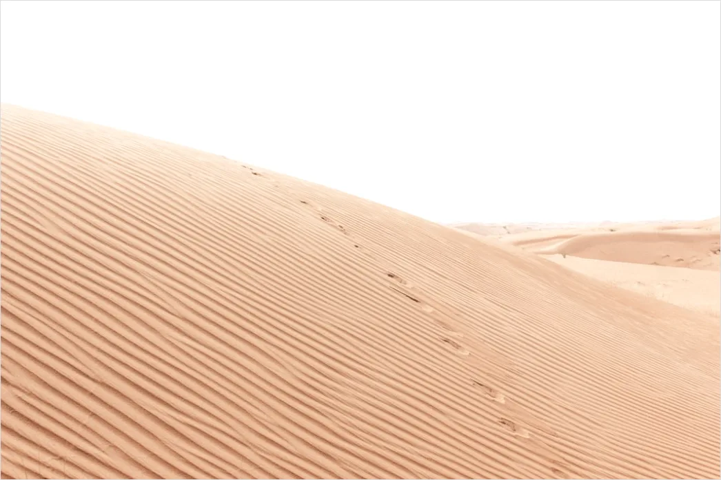 Detail Wüste Sanddünen Spuren Im Sand Minimalistisch Number 13