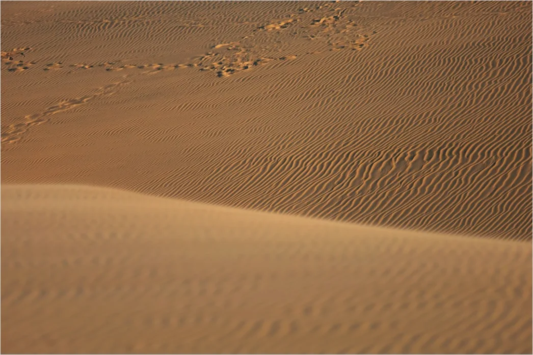 Detail Wüste Sanddünen Spuren Im Sand Minimalistisch Number 16
