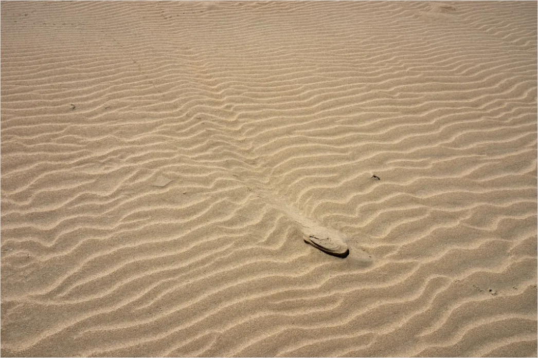 Detail Wüste Sanddünen Spuren Im Sand Minimalistisch Number 17