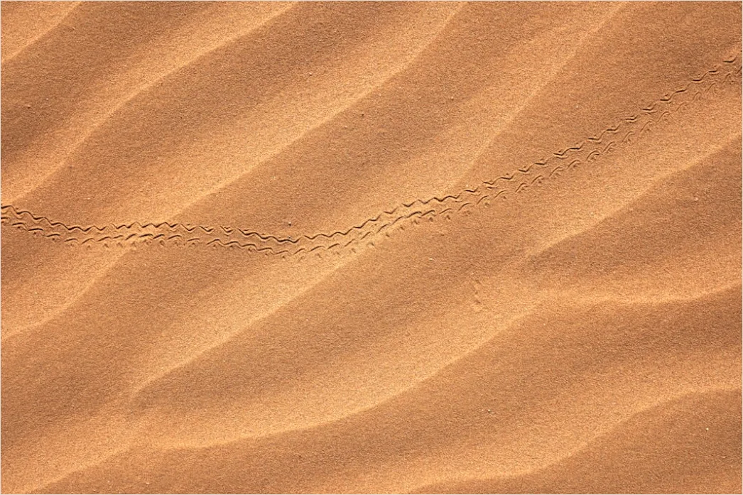 Detail Wüste Sanddünen Spuren Im Sand Minimalistisch Number 20