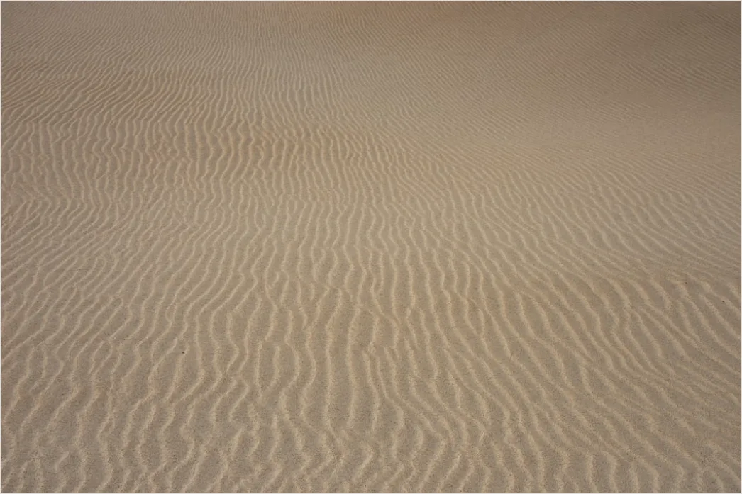 Detail Wüste Sanddünen Spuren Im Sand Minimalistisch Number 10