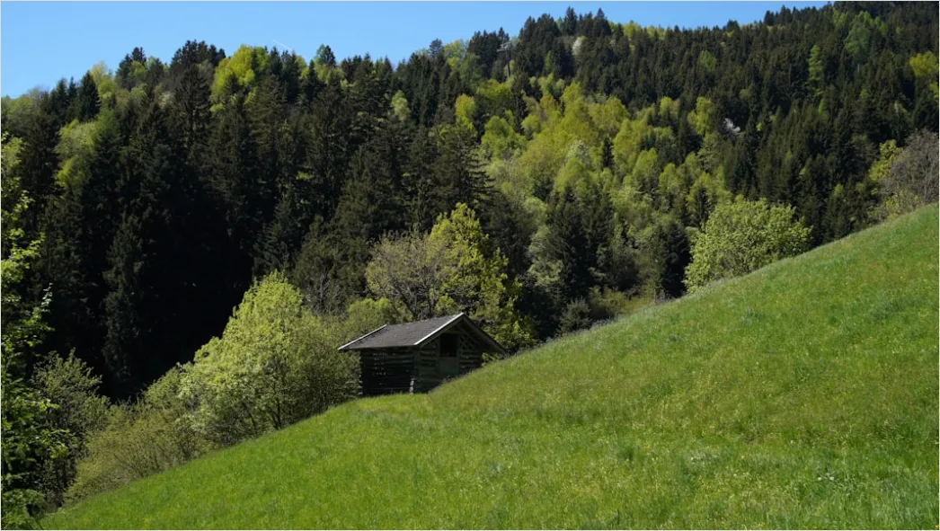 Zeltaufbau Bei Wind Auf Wiese Outdoor 60bb