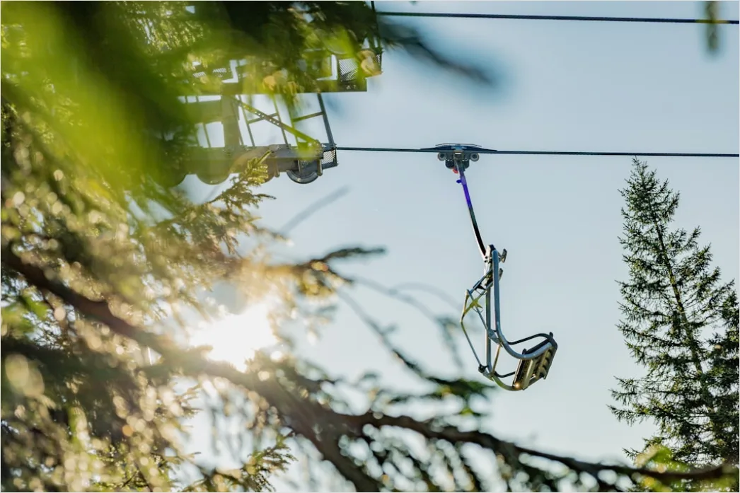Detail Zipline Durch Wald Canopy Adventure Number 2