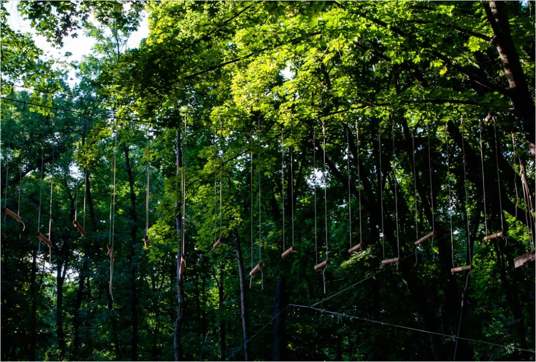 Detail Zipline Durch Wald Canopy Adventure Number 12