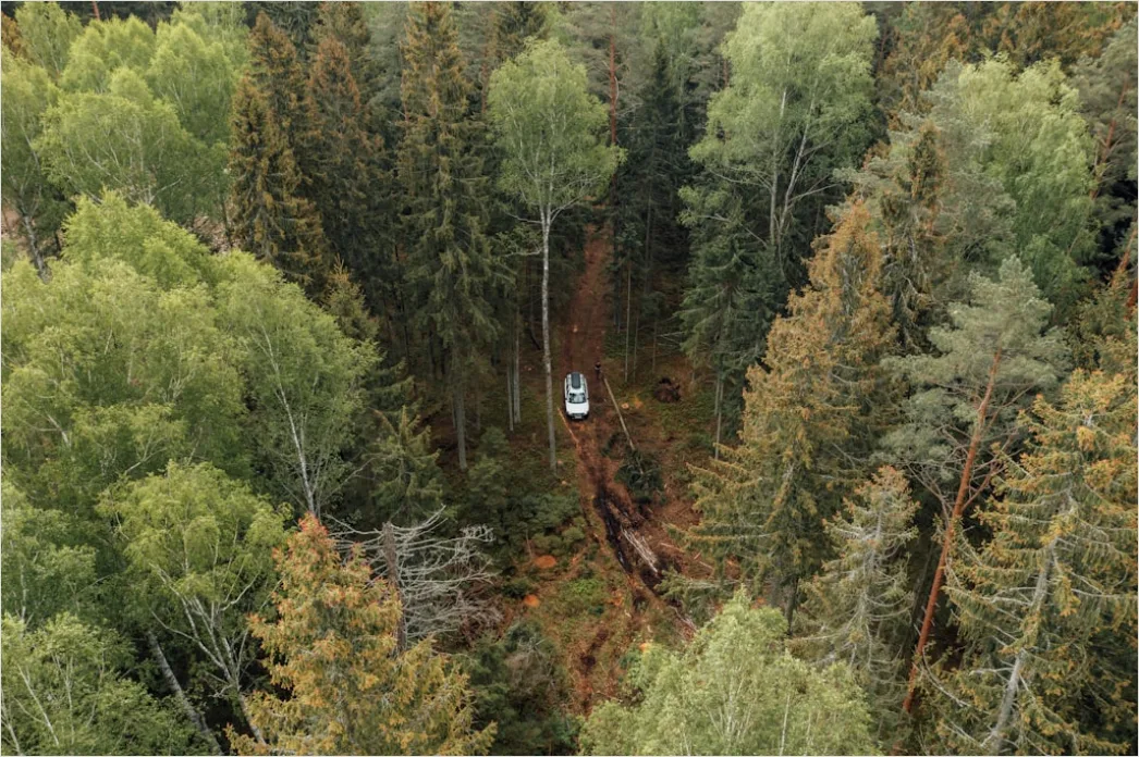 Detail Zipline Durch Wald Canopy Adventure Number 13