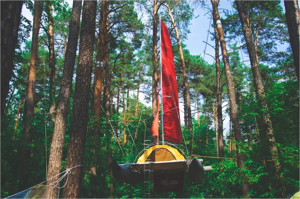 Detail Zipline Durch Wald Canopy Adventure Number 16
