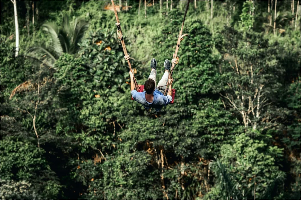 Detail Zipline Durch Wald Canopy Adventure Number 18
