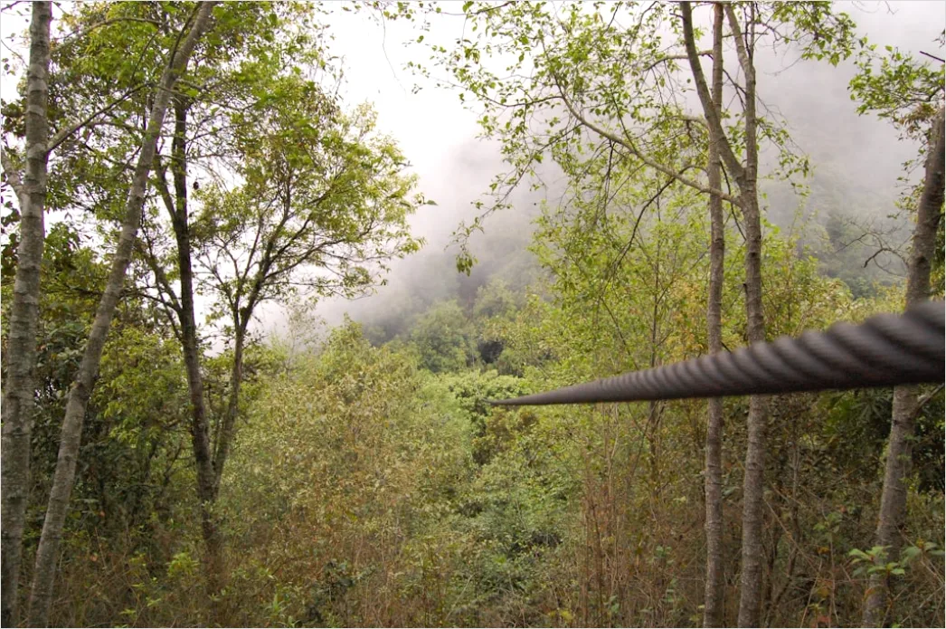 Detail Zipline Durch Wald Canopy Adventure Number 20