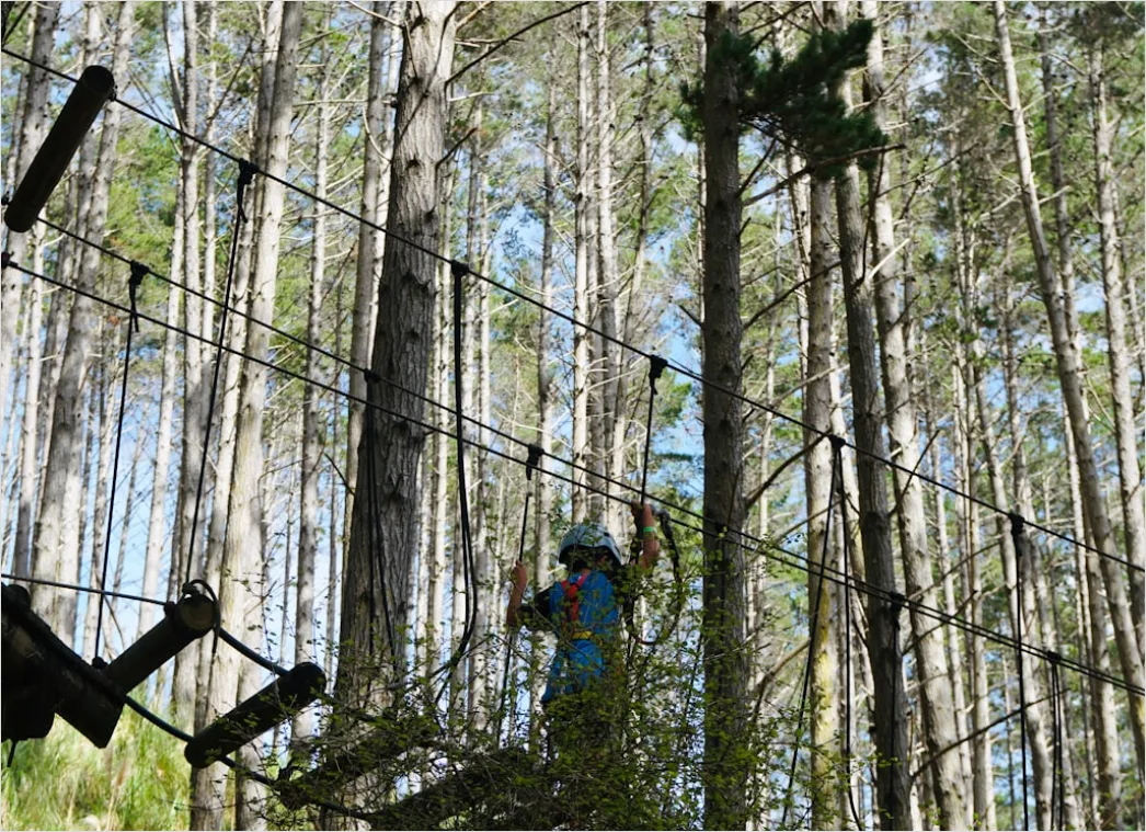 Detail Zipline Durch Wald Canopy Adventure Number 3