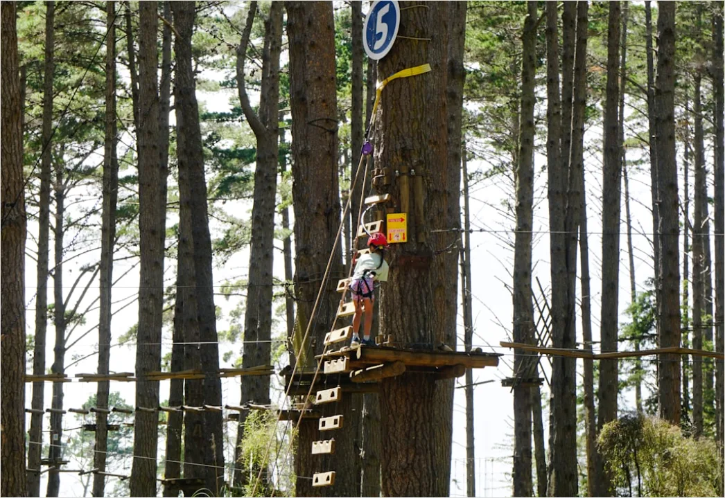 Detail Zipline Durch Wald Canopy Adventure Number 5