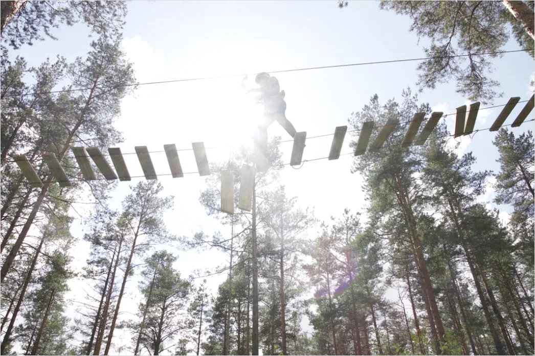 Detail Zipline Durch Wald Canopy Adventure Number 6
