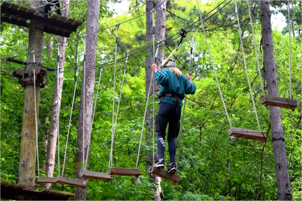 Detail Zipline Durch Wald Canopy Adventure Number 8
