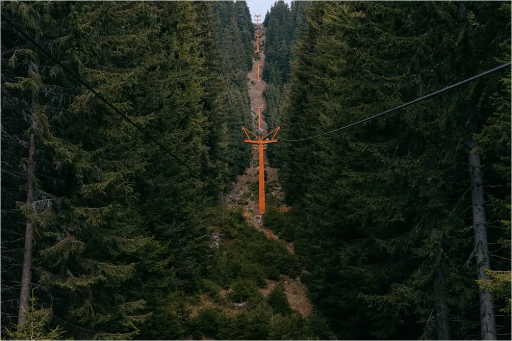 Detail Zipline Durch Wald Canopy Adventure Number 9