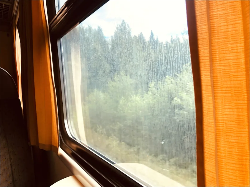 Detail Zugfenster Aussicht Auf Landschaft Vorbeiziehend Number 10