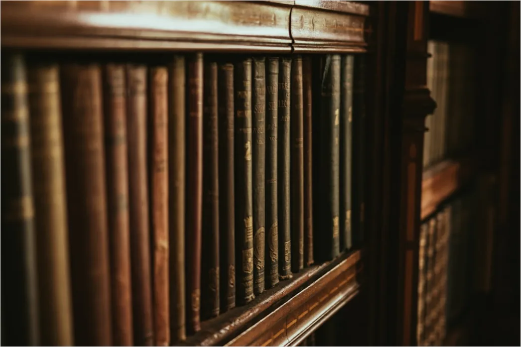 Detail Alte Bibliothek Holzregale Leiter Atmosphäre Foto Number 19