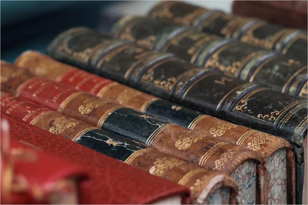 Detail Antiquariat Alte Bücher Lederrücken Detailaufnahme Number 11