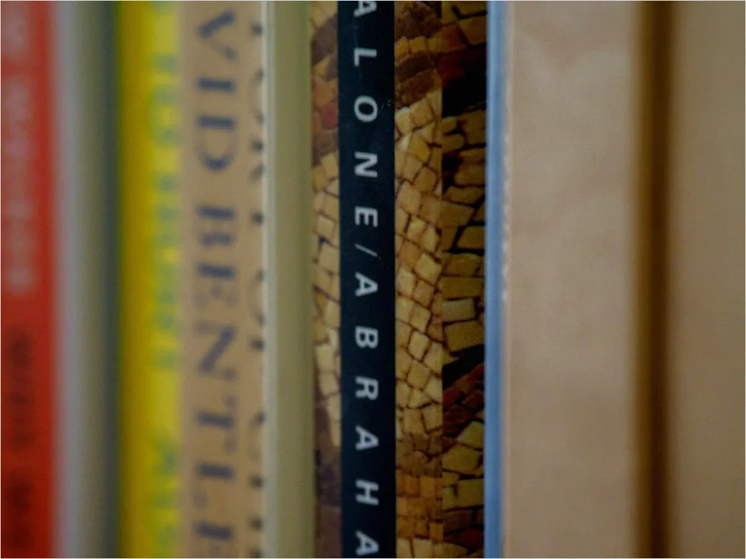 Detail Antiquariat Alte Bücher Lederrücken Detailaufnahme Number 13