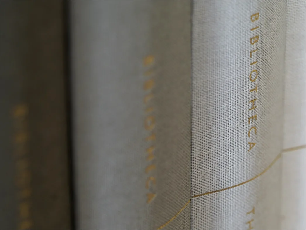 Detail Antiquariat Alte Bücher Lederrücken Detailaufnahme Number 16