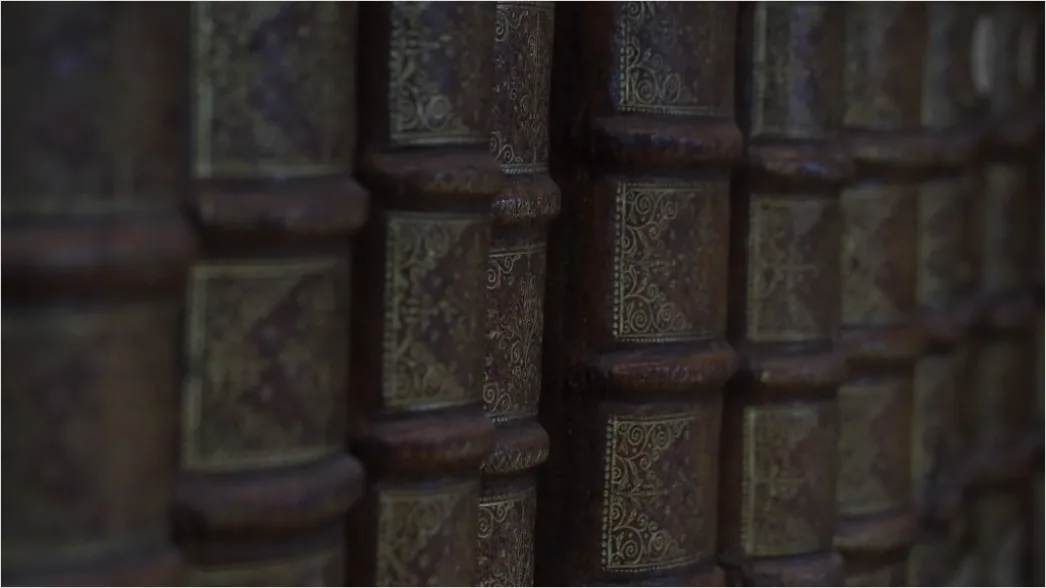 Detail Antiquariat Alte Bücher Lederrücken Detailaufnahme Number 3