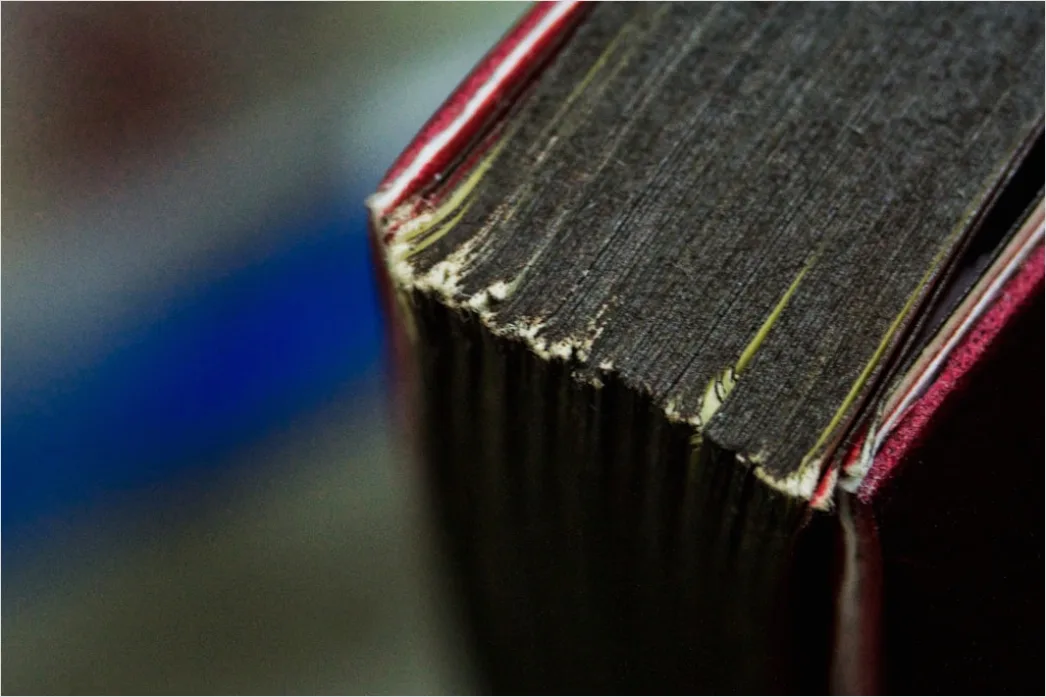 Detail Antiquariat Alte Bücher Lederrücken Detailaufnahme Number 5