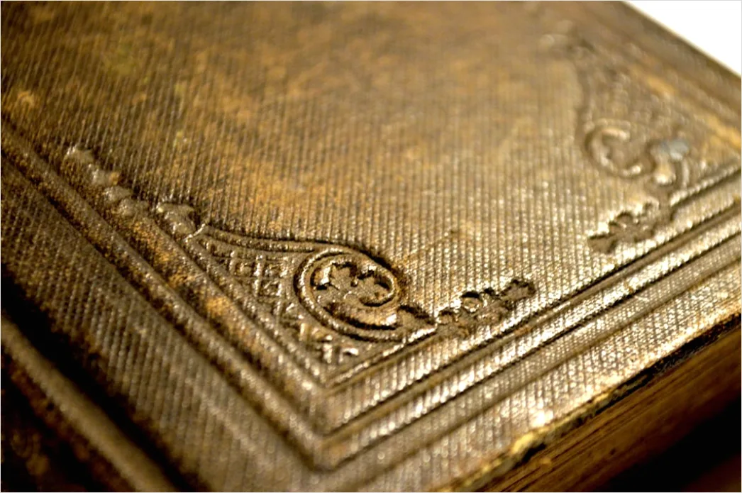 Detail Antiquariat Alte Bücher Lederrücken Detailaufnahme Number 9