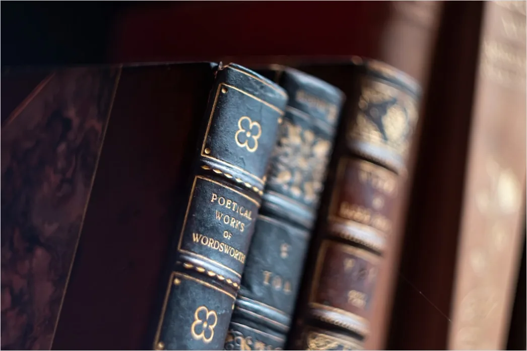 Detail Antiquariat Alte Bücher Lederrücken Detailaufnahme Number 10