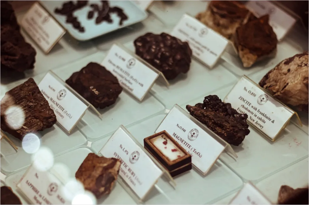 Archaeologie Ausstellung Fundstuecke In Vitrine Nahaufnahme 42c4