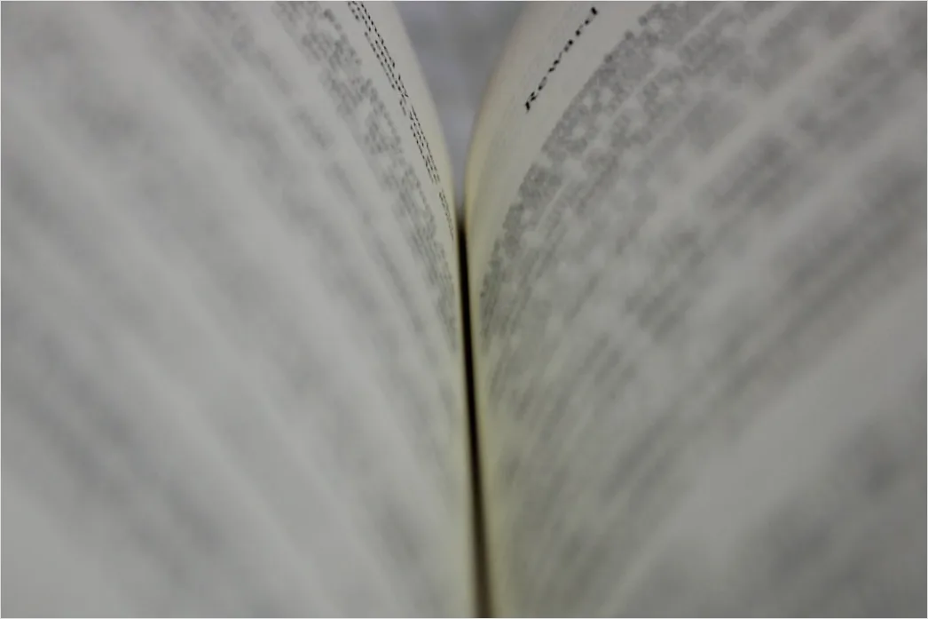 Detail Autogrammstunde Autor Signiert Buch Nahaufnahme Number 17