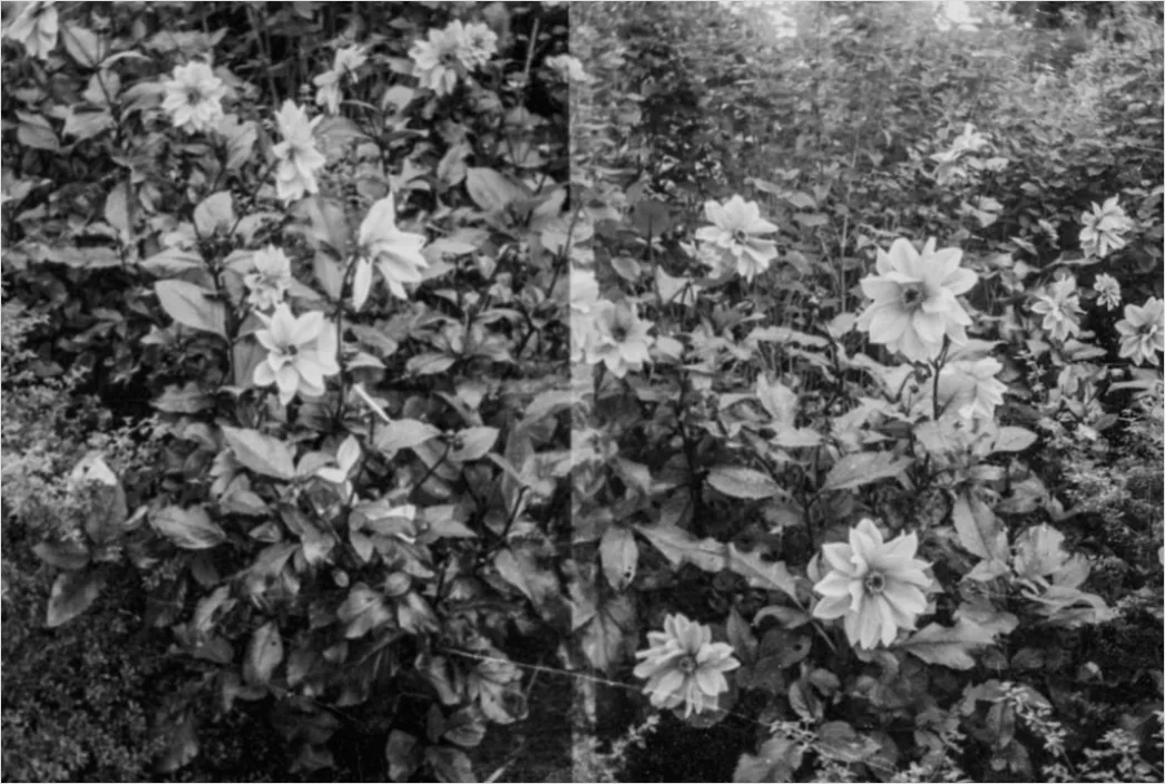 Detail Before After Akne Teintsmoothing Foto Collage Number 2