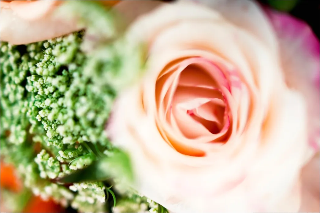 Detail Braut Bouquet Und Ringe Detailaufnahme Foto Number 6