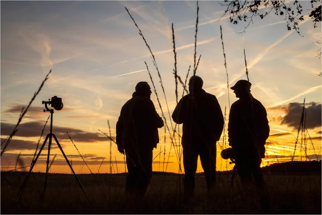 Fackelzug Tradition Abends Silhouettes Foto 7f7d