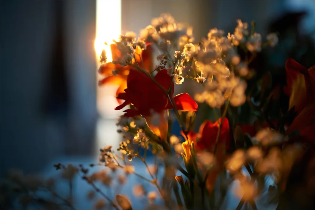 Gedenkstaette Kerzen Und Blumen Nahaufnahme Foto C2e4