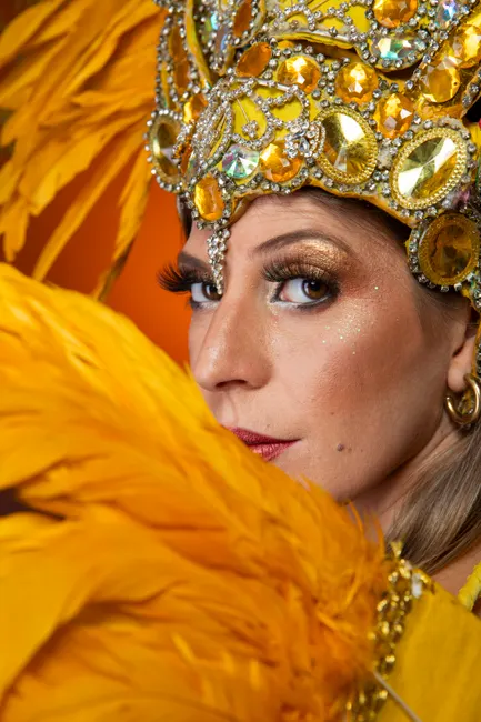 Detail Goldener Lidschatten Party Make Up Nahaufnahme Number 15
