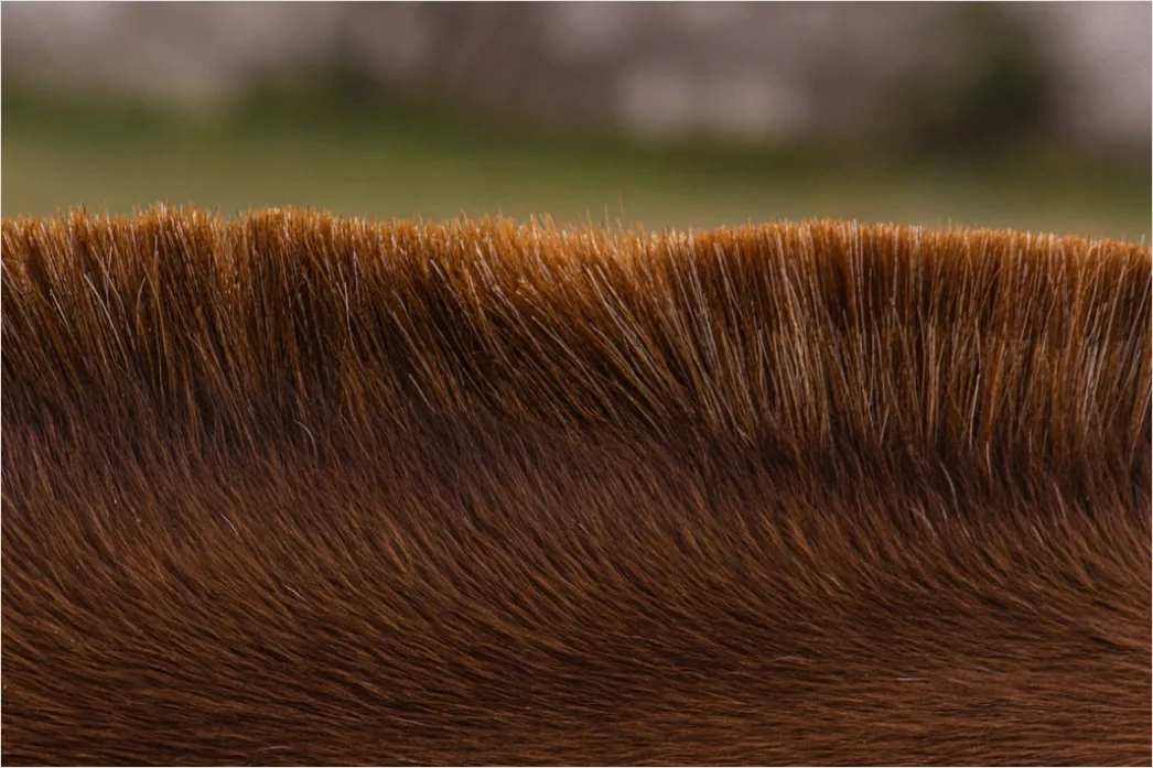 Detail Haarfarb Swatches Auf Haarsträhne Foto Number 11