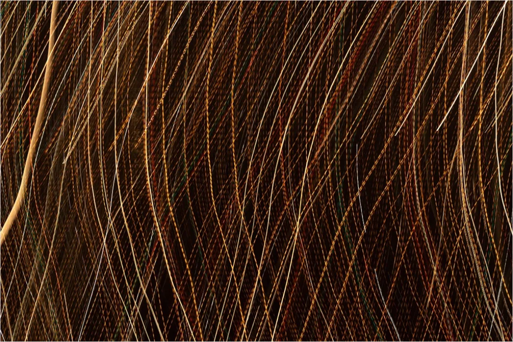 Detail Haarfarb Swatches Auf Haarsträhne Foto Number 12