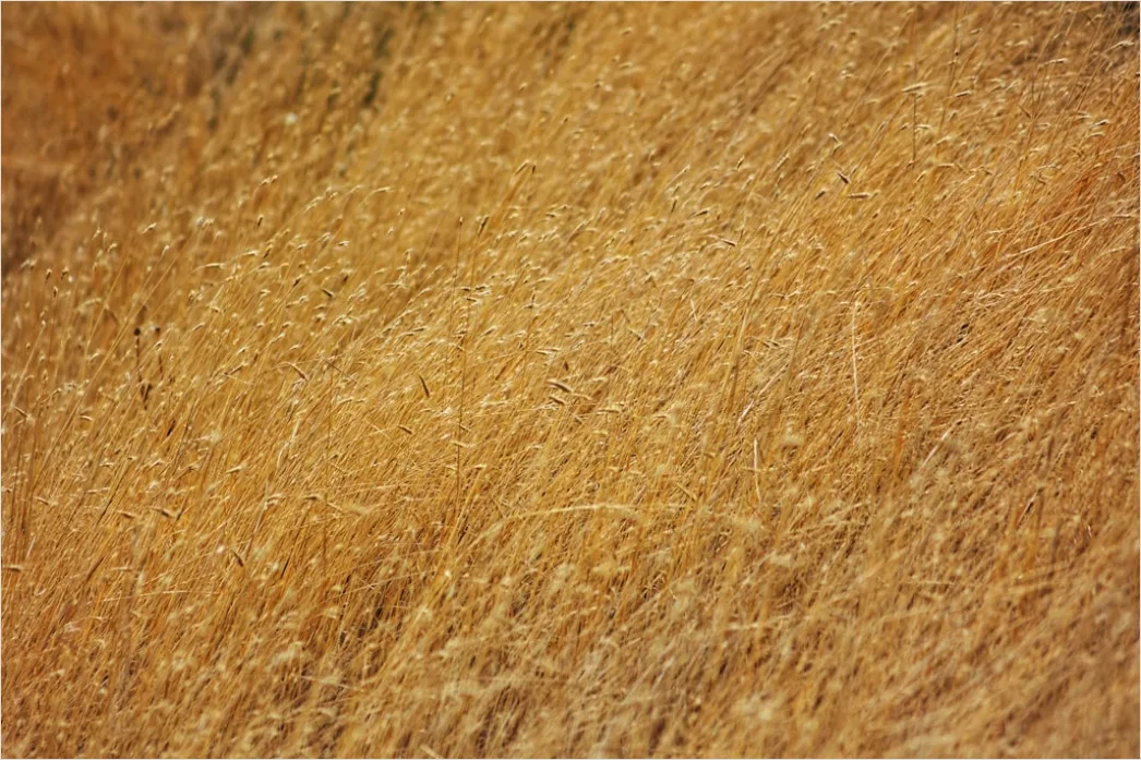 Detail Haarfarb Swatches Auf Haarsträhne Foto Number 19