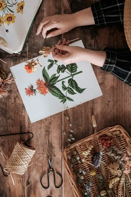 Museum Shop Postkarten Kunstbuecher Auf Tisch Flat Lay 2d29