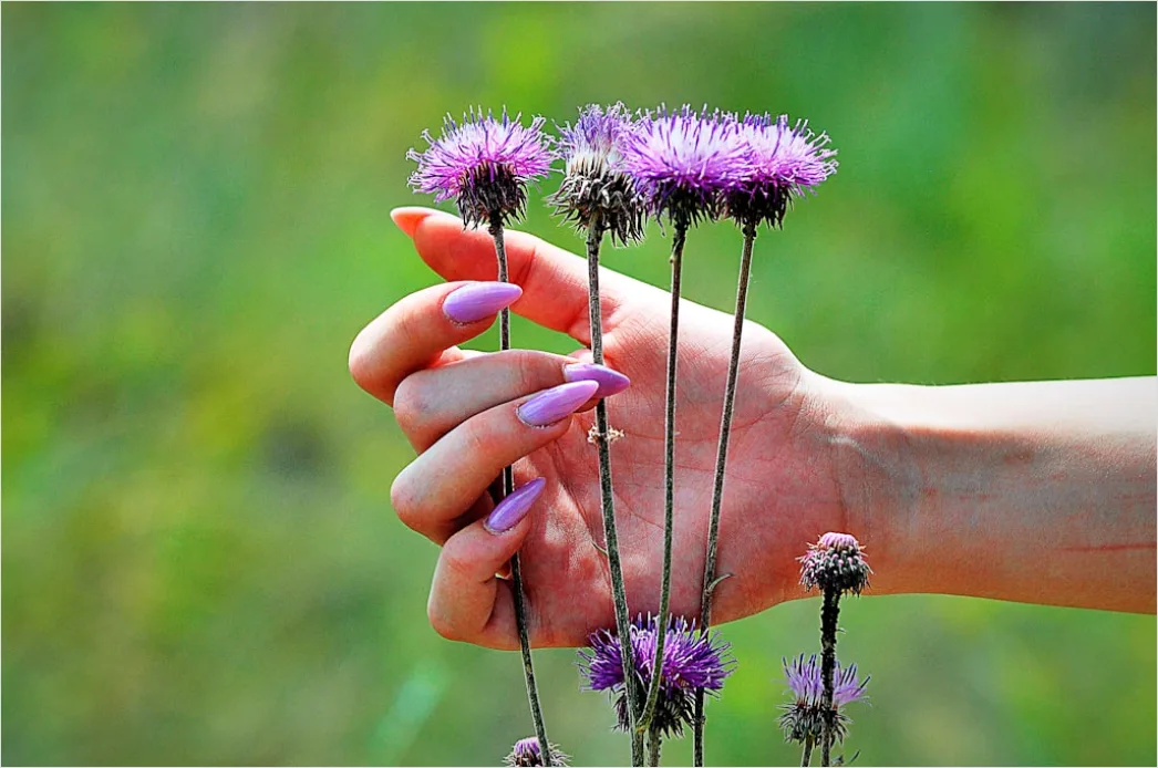 Nail Art Blumen Einfach Auf Kurzen Naegeln Foto 38f6