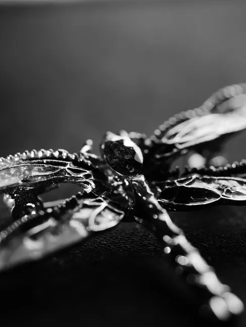 Detail Wimpernzange Detail Metall Macro Foto Number 20