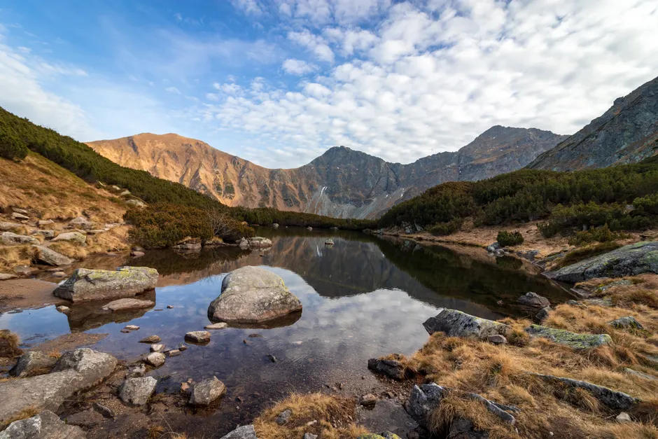 Detail Alpine Tarn Reflection Landscape Number 4